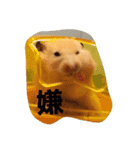ハムズ（個別スタンプ：16）