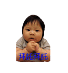 CHI CHI LIFE（個別スタンプ：1）