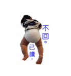 CHI CHI LIFE（個別スタンプ：6）