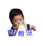 CHI CHI LIFE（個別スタンプ：12）