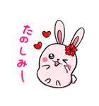 Potato Pet Family2-Cute Bunny！(Japanese)（個別スタンプ：22）
