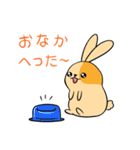 Potato Pet Family2-Cute Bunny！(Japanese)（個別スタンプ：29）