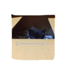 黒猫めいのスタンプ（個別スタンプ：1）