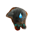 黒猫めいのスタンプ（個別スタンプ：4）