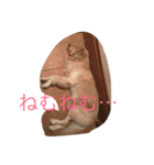 ゴールデンレトリバー3（個別スタンプ：8）