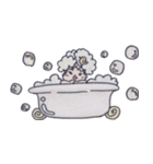 でし太郎（個別スタンプ：31）