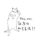 BABY IS NOT A FAT CAT！（個別スタンプ：1）