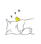 BABY IS NOT A FAT CAT！（個別スタンプ：4）
