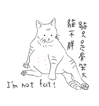 BABY IS NOT A FAT CAT！（個別スタンプ：7）