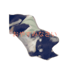 わんこ♡（個別スタンプ：8）