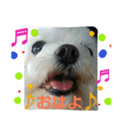 佐々木家の姫ちゃん3（個別スタンプ：1）