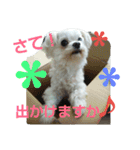 佐々木家の姫ちゃん3（個別スタンプ：5）
