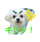 佐々木家の姫ちゃん3（個別スタンプ：13）
