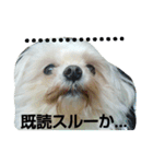 佐々木家の姫ちゃん3（個別スタンプ：18）