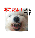 佐々木家の姫ちゃん3（個別スタンプ：21）