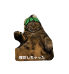 ニャンちゃんの日常会話part2（個別スタンプ：4）