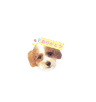 marulifespecial（個別スタンプ：31）