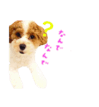 marulifespecial（個別スタンプ：32）