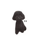 黒ぷー  はぴおくん（個別スタンプ：2）