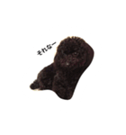 黒ぷー  はぴおくん（個別スタンプ：3）