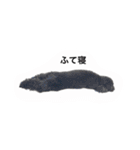 黒ぷー  はぴおくん（個別スタンプ：12）