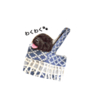 黒ぷー  はぴおくん（個別スタンプ：19）
