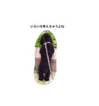 黒ぷー  はぴおくん（個別スタンプ：21）