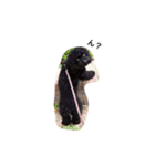 黒ぷー  はぴおくん（個別スタンプ：24）