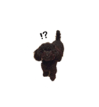 黒ぷー  はぴおくん（個別スタンプ：32）