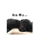 黒ぷー  はぴおくん（個別スタンプ：33）