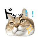 にゃんこの休日（個別スタンプ：2）