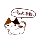 食いしん坊な猫 日本語（個別スタンプ：11）