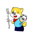ヨコノリコーギー犬・コギ坊スタンプ（個別スタンプ：17）