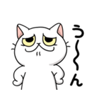 しろいにゃんこスタンプ（個別スタンプ：4）