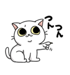 しろいにゃんこスタンプ（個別スタンプ：16）