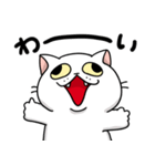 しろいにゃんこスタンプ（個別スタンプ：21）