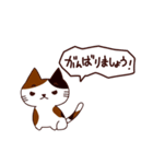 元気な猫 日本語（個別スタンプ：3）