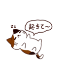 元気な猫 日本語（個別スタンプ：7）