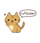 元気な猫 日本語（個別スタンプ：10）