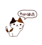 元気な猫 日本語（個別スタンプ：23）