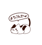 元気な猫 日本語（個別スタンプ：25）