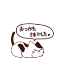 元気な猫 日本語（個別スタンプ：29）