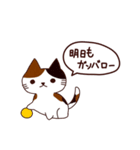 元気な猫 日本語（個別スタンプ：31）