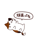 元気な猫 日本語（個別スタンプ：39）