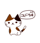 猫の毎日（個別スタンプ：2）