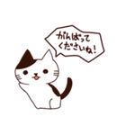 猫の毎日（個別スタンプ：5）