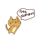 猫の毎日（個別スタンプ：6）