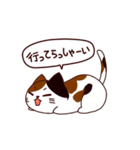 猫の毎日（個別スタンプ：8）