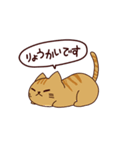 猫の毎日（個別スタンプ：10）