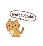 猫の毎日（個別スタンプ：17）